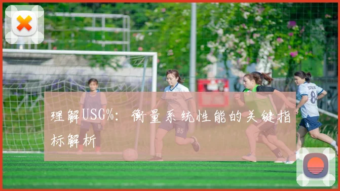 理解USG%：衡量系统性能的关键指标解析